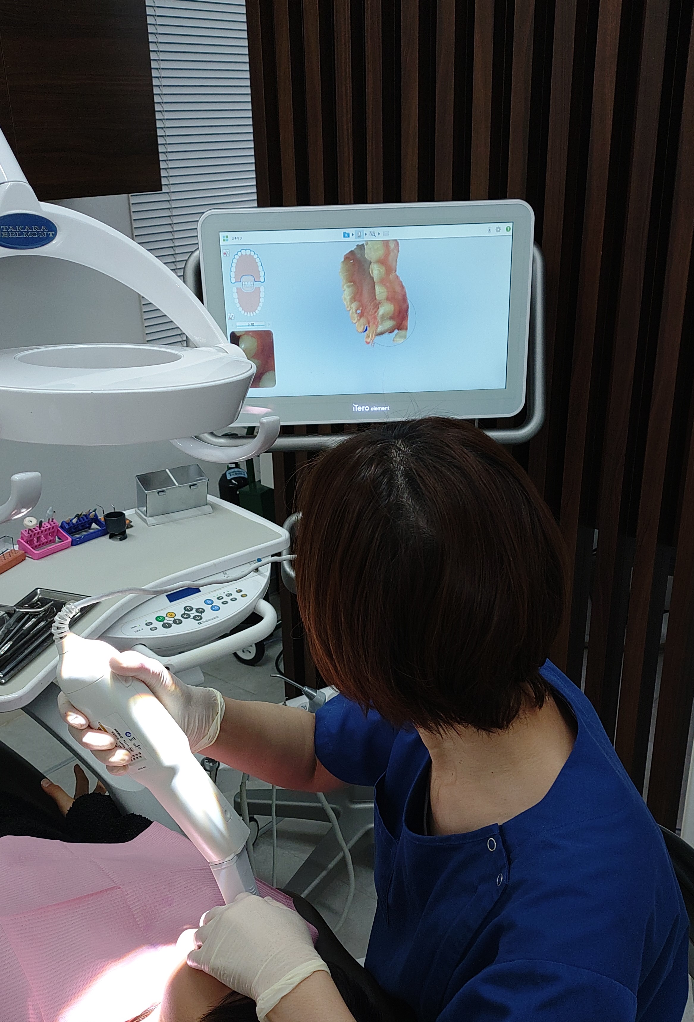 ���{��s�@���ꎕ�Ȉ�@